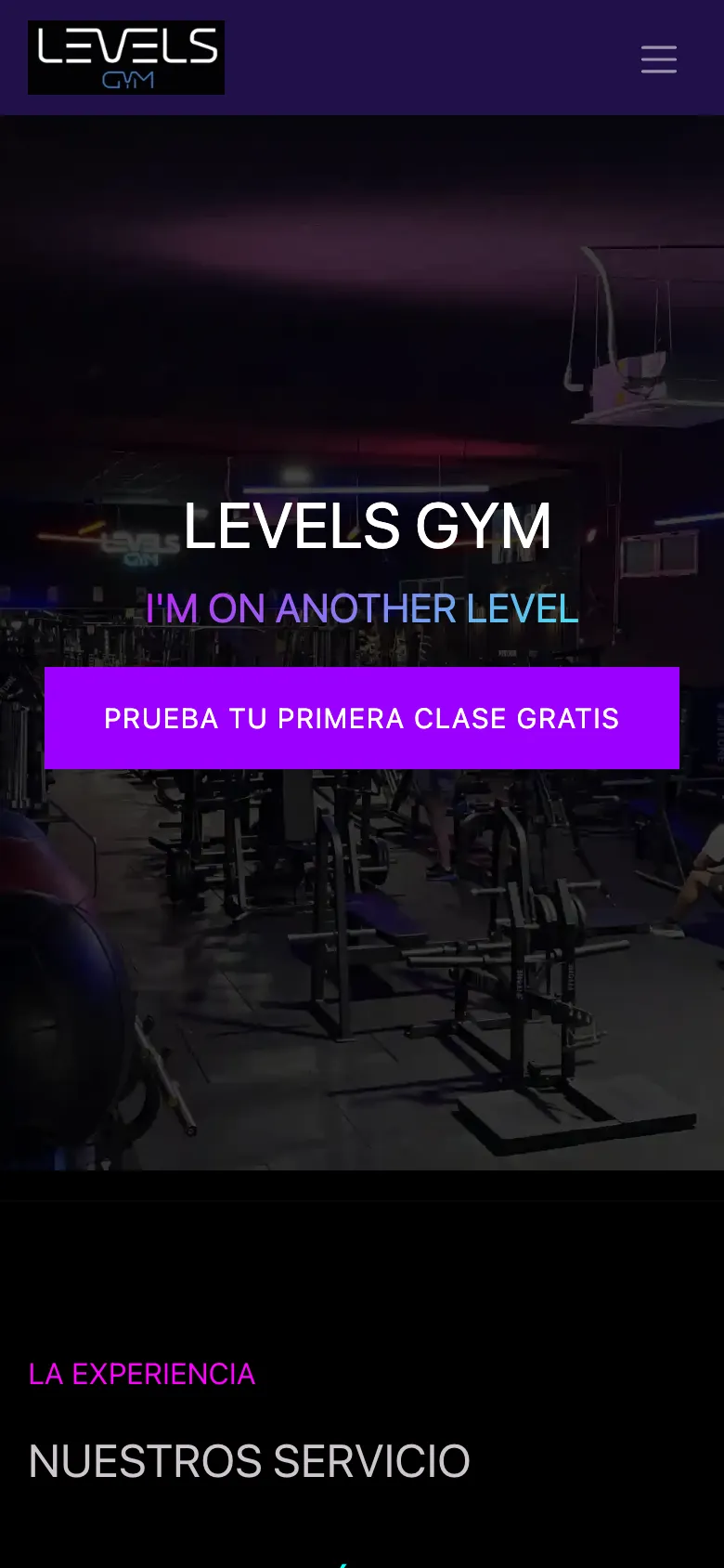 La web de Levels Gym en el móvil