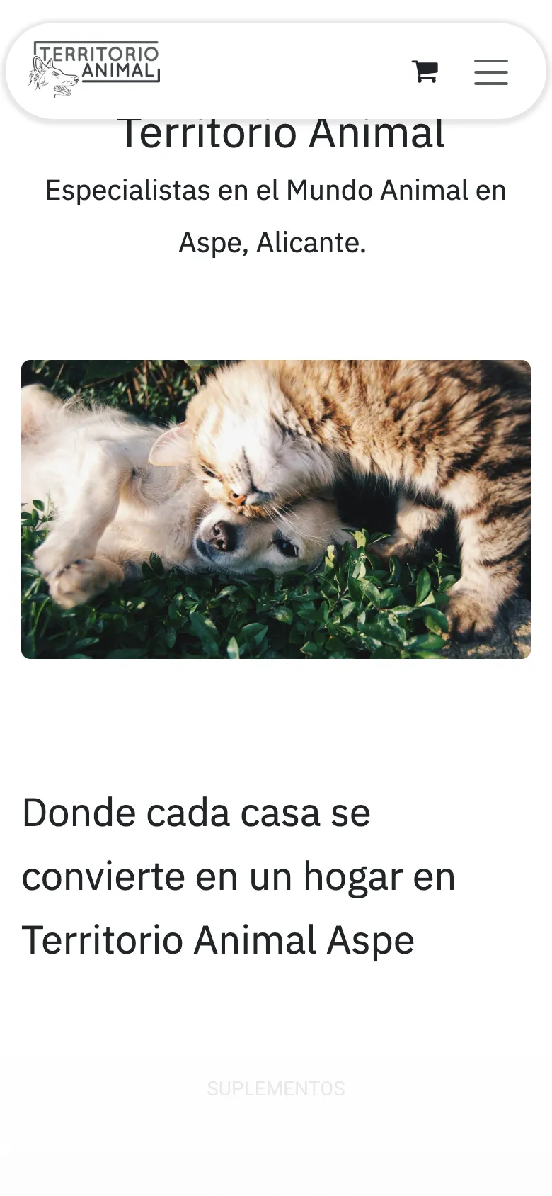 La web de Territorio Animal en el móvil