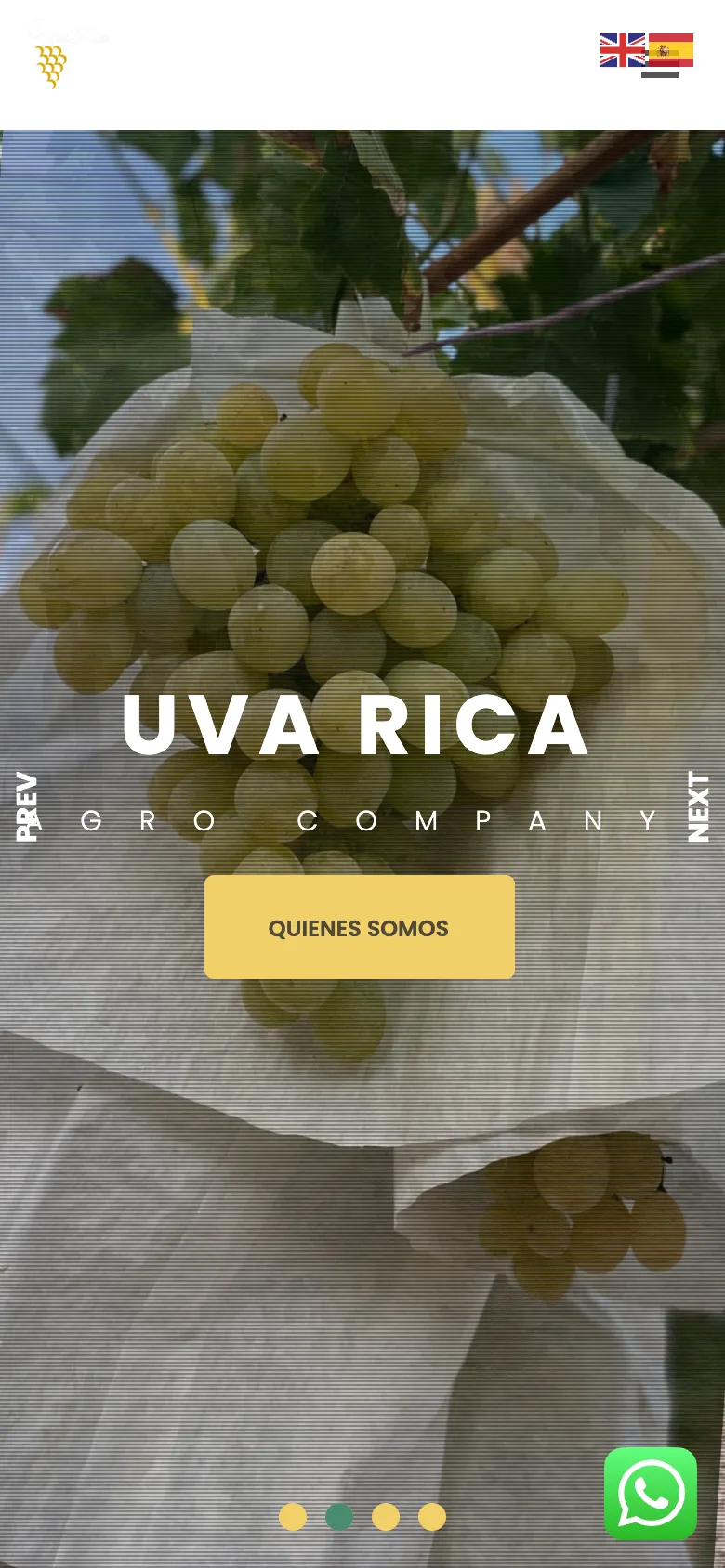 La web de Uva Rica en el móvil